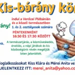Új gyerekcsoport indul Kisbárány-kör néven